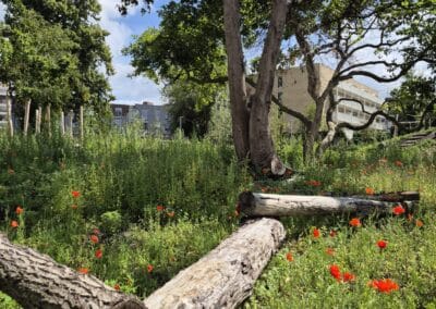 Gavere – Egmontpark